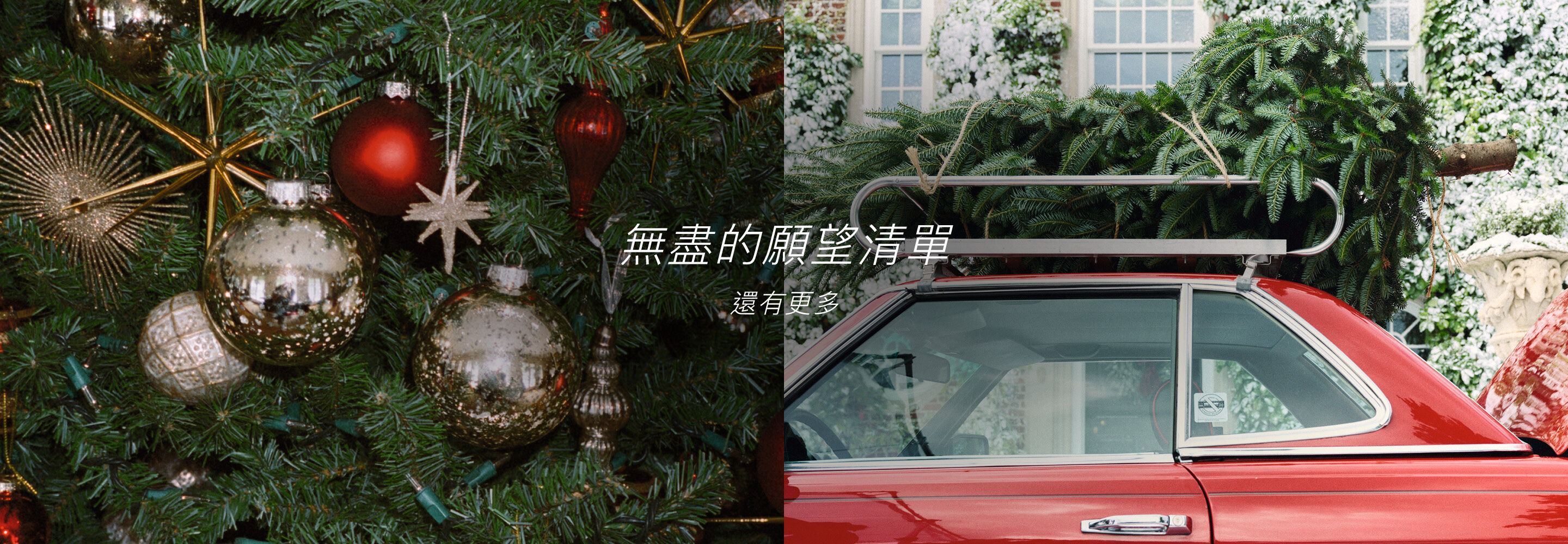 E無盡的願望清單，還有更多。